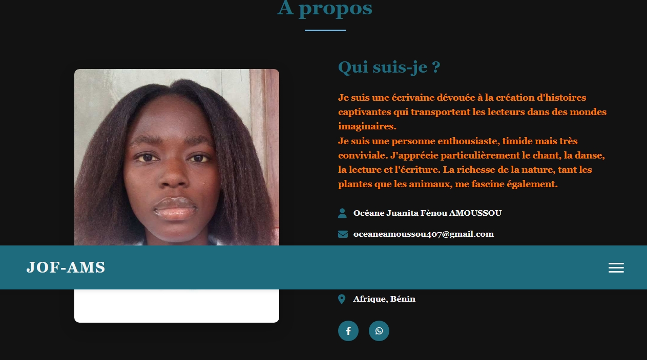 Portfolio Professionnel